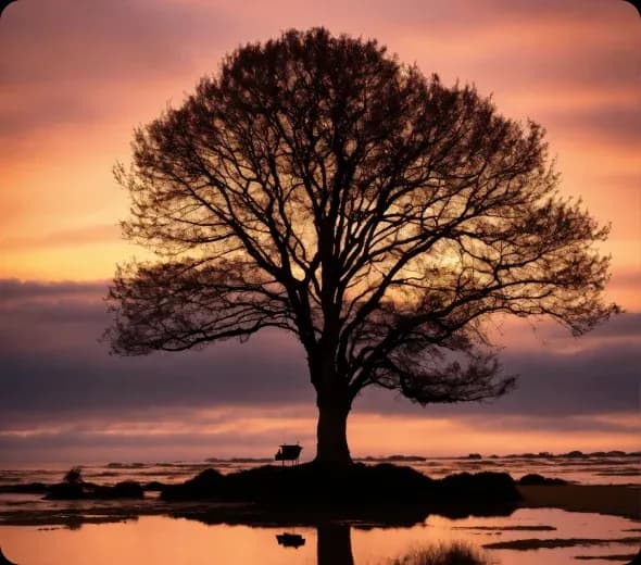 Elevate Designs with Striking Silhouettes